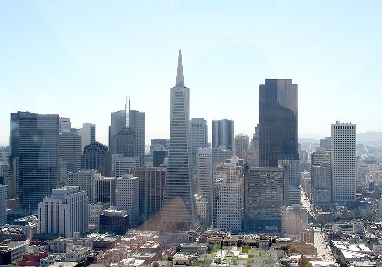 IMAGE: http://i25.photobucket.com/albums/c90/tellysurv/California%20Trip/SF_FinDist.jpg