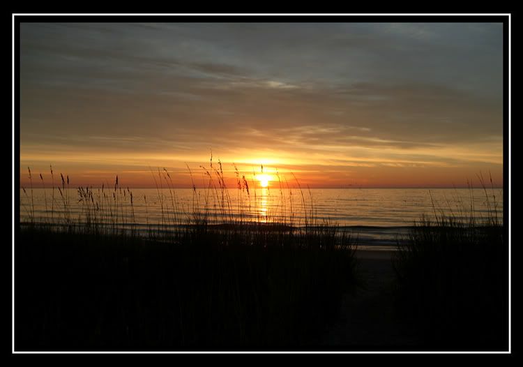 IMAGE: http://i25.photobucket.com/albums/c90/tellysurv/DPC_site/PAD_reflection.jpg