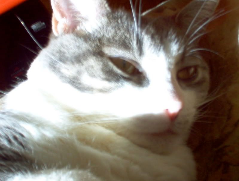 IM000817-1.jpg