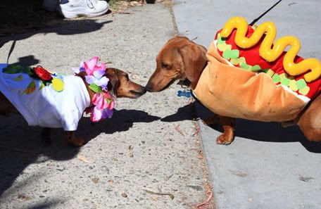 weiner.jpg image by Larnalicious