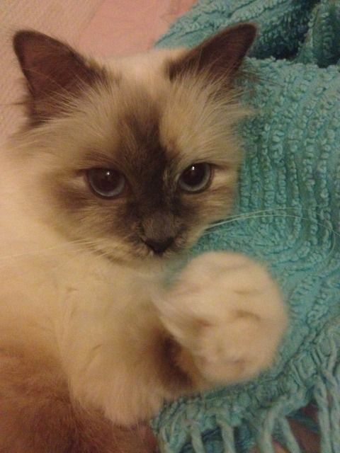Bild