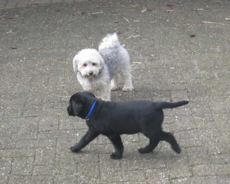 7Norithuis26-2-12.jpg