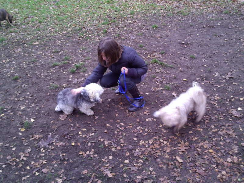 HondenveldjeEnschede19-11-201019.jpg