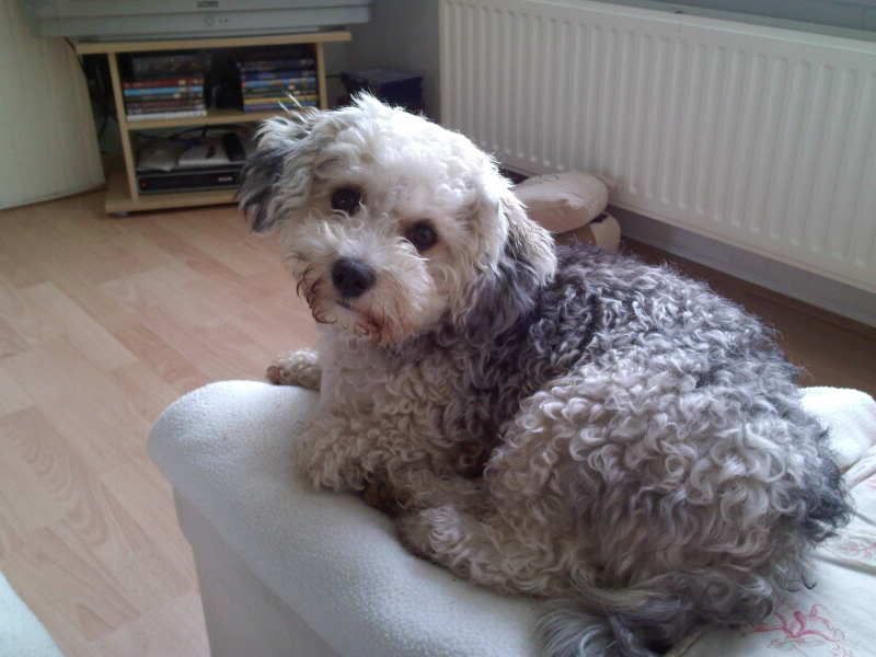Puck20-10-20102.jpg