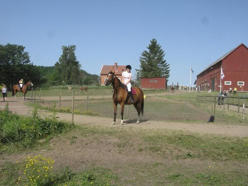 IMG_0949.jpg