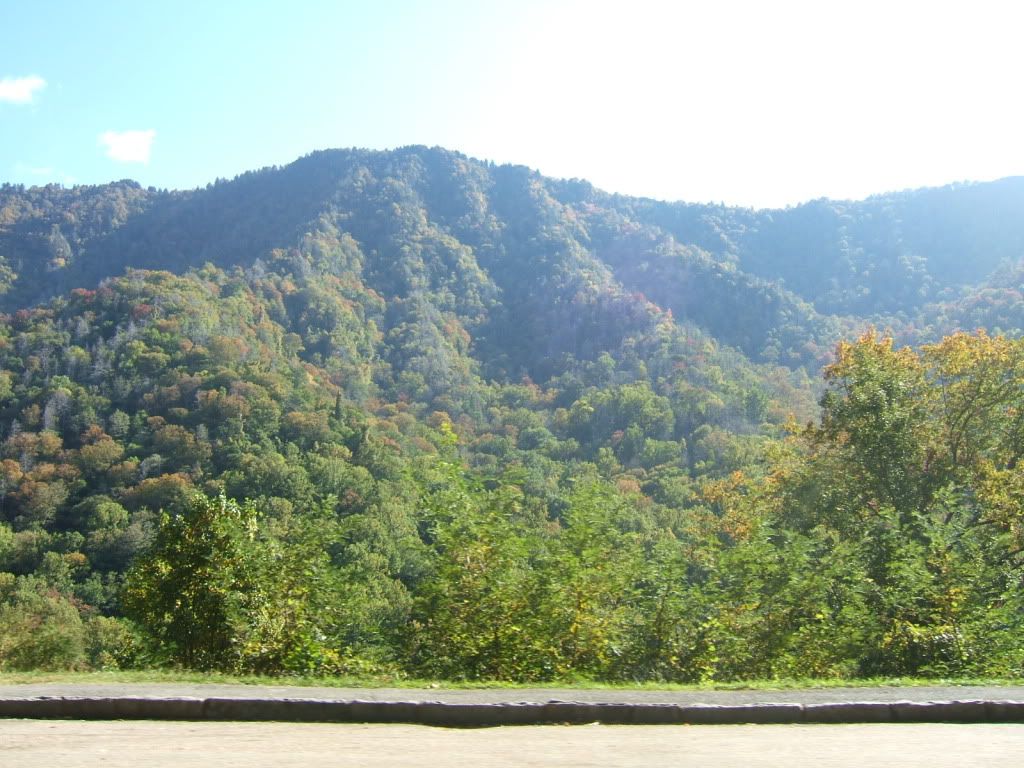 DSCF3321.jpg