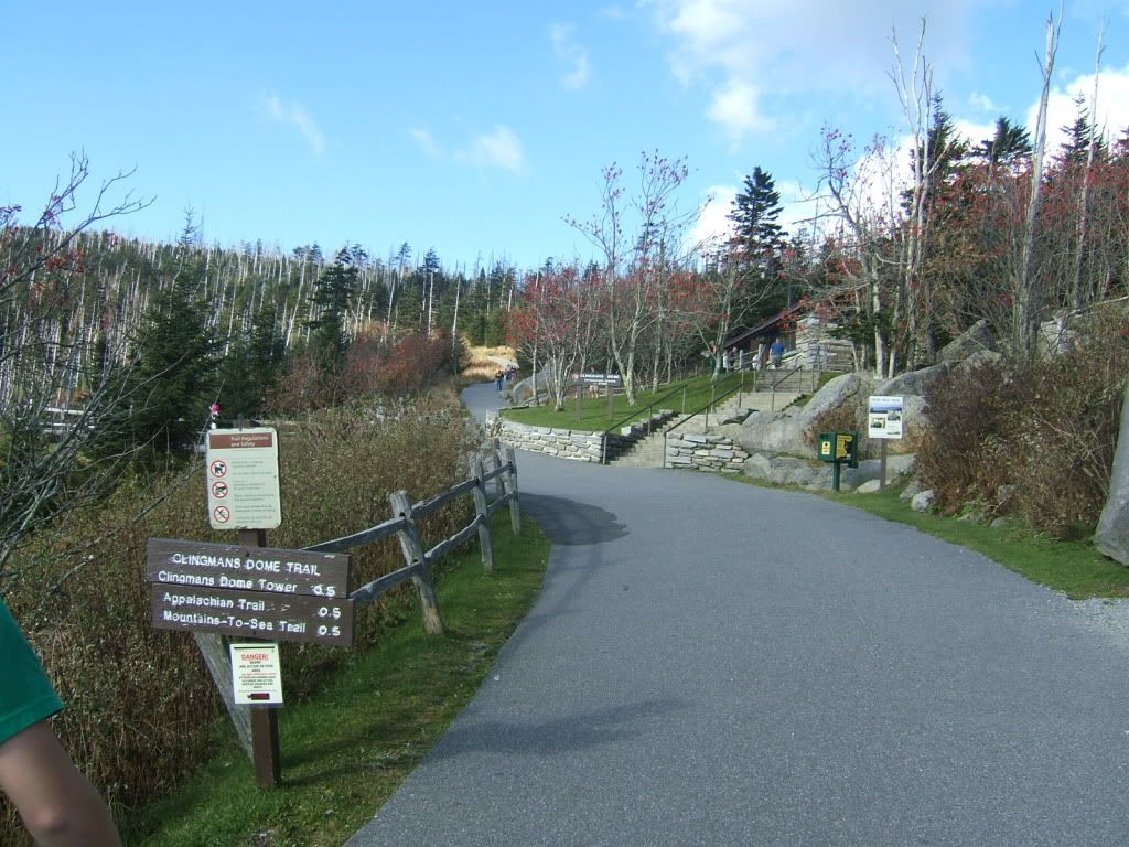 DSCF3323.jpg