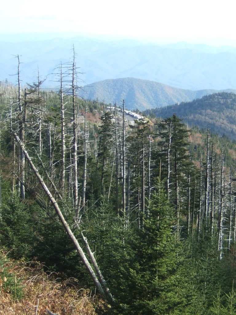DSCF3327.jpg