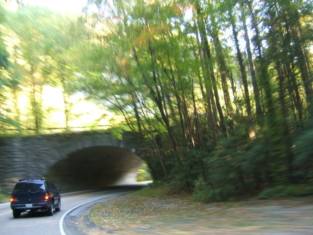 DSCF3329.jpg
