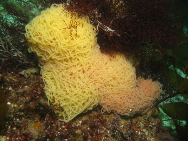 126.jpg