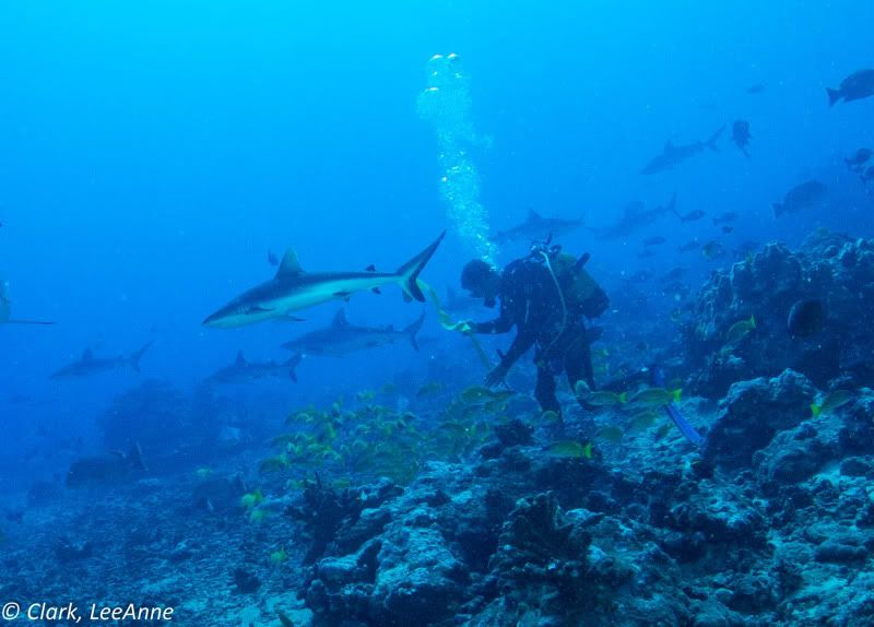 FrenchPolynesia2012-22.jpg