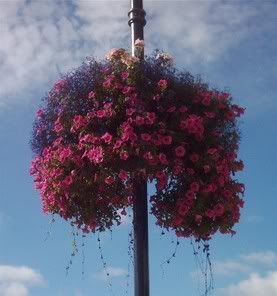 Hockley Hanging Basket - Oct 2005