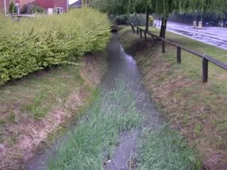 Ditch on 23rd July