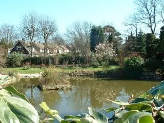 View of Pond