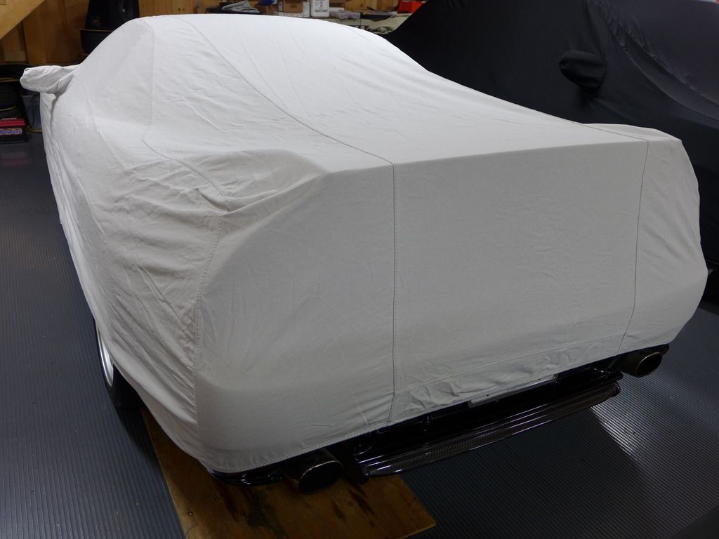 FS NSX custom dusttop car cover