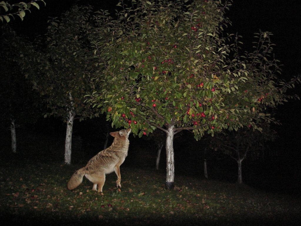 Oct. 8, 2012