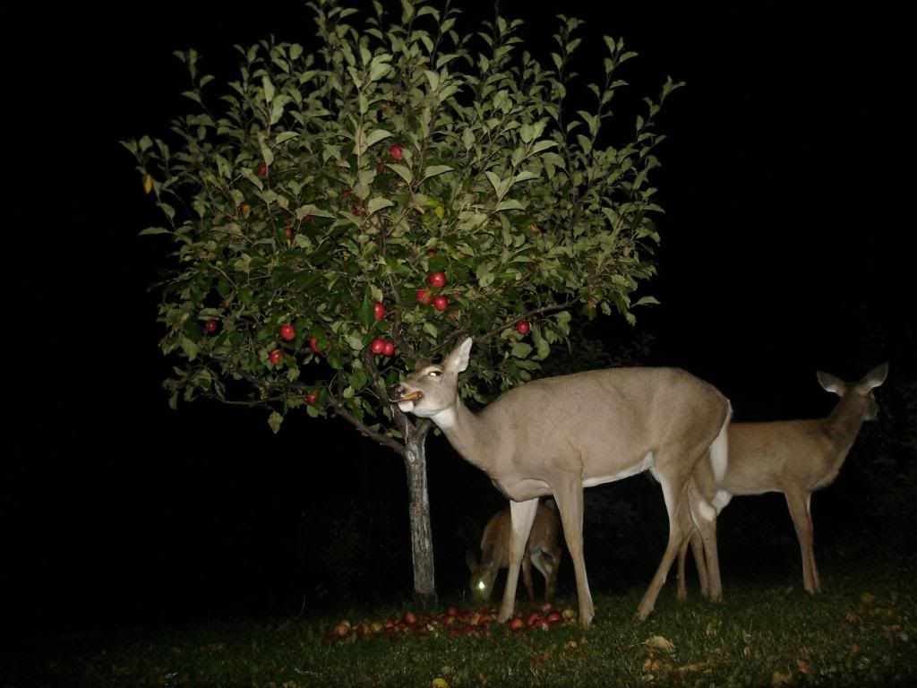  photo DSC07125_zps3fdb6dd2.jpg