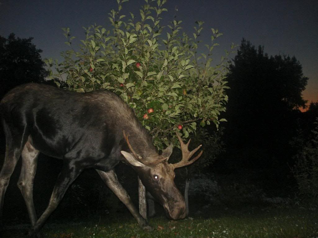 Sept. 13, 2013 photo DSC06984_zpse296f0ba.jpg