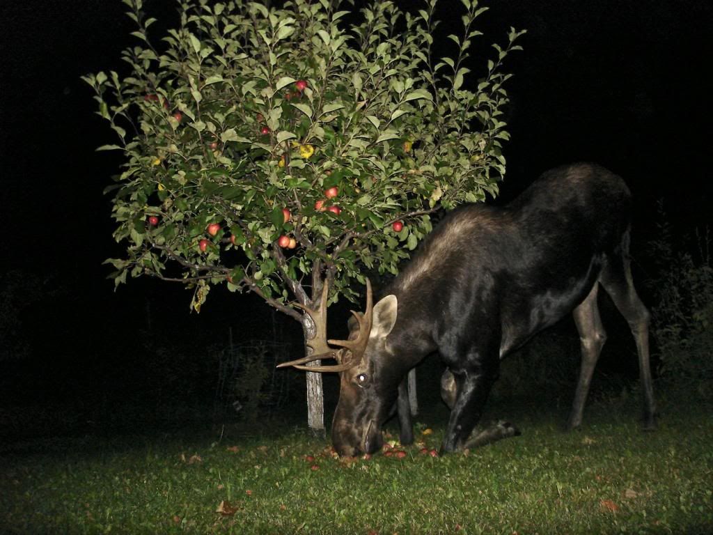 Sept. 14, 2013 photo DSC07026_zps7b44f1ac.jpg