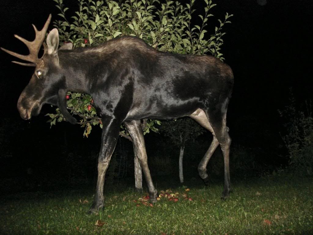  photo DSC07027_zpsfab319d6.jpg