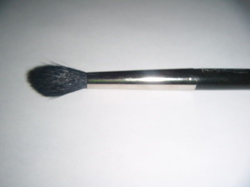 mac brush 224