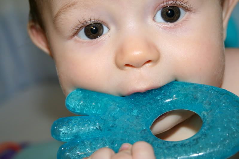 IMAGE: http://i25.photobucket.com/albums/c97/migmel/IMG_0414_2.jpg