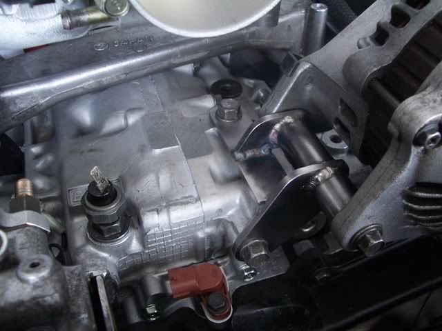 IMGP2449.jpg