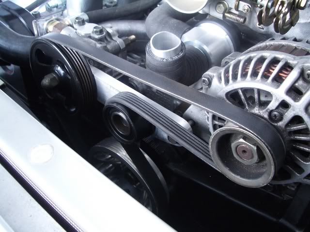 IMGP2488.jpg