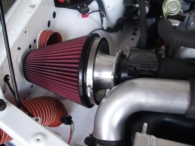 IMGP2504.jpg