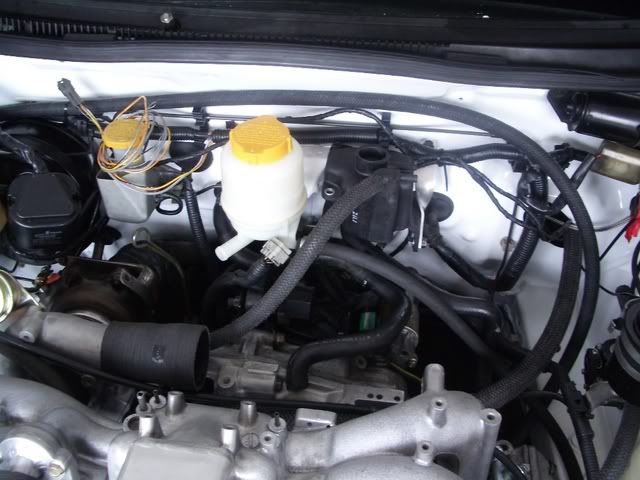 IMGP2518.jpg