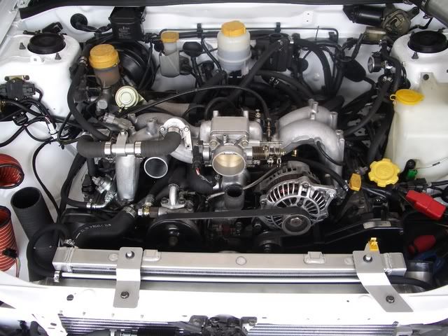 IMGP2530.jpg
