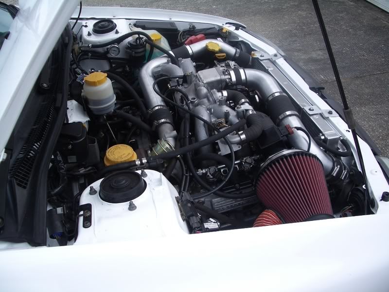 IMGP2547.jpg