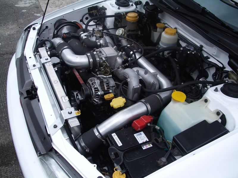 IMGP2553.jpg