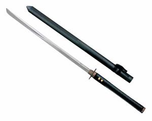 Wakizashi Ninja