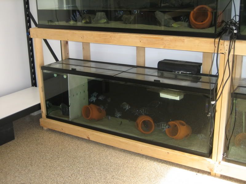 Two Tiered Aquarium Rack Fits 2 125 Gallon Tanks