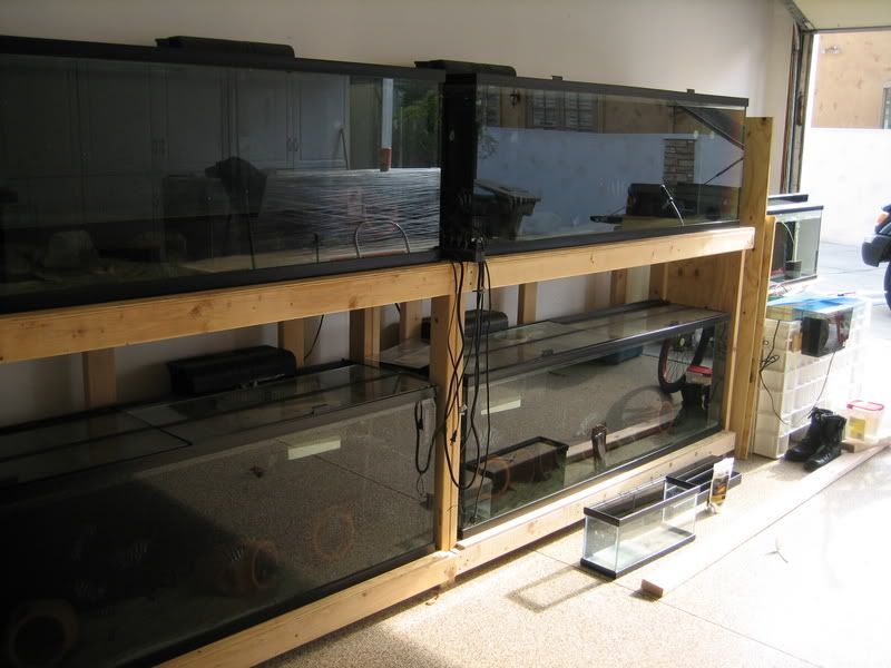 Two Tiered Aquarium Rack Fits 2 125 Gallon Tanks