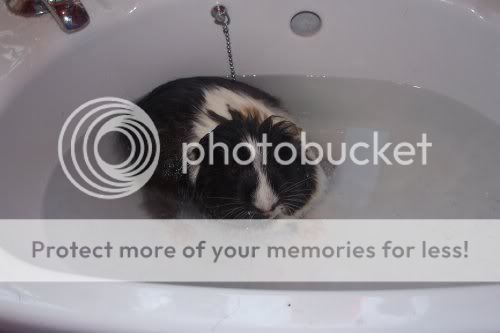 Bath_Time001.jpg