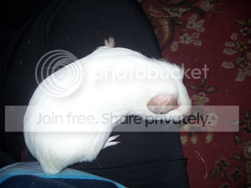 Yuki_Baby006.jpg