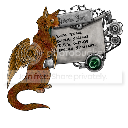 User Image