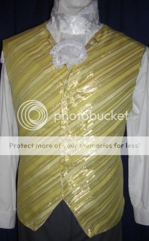 MENS GORGEOUS METALLIC YELLOW STRIPED VEST. PERFECT FOR THE WELL 