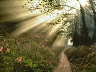 grapemosunbeams.jpg picture by Isabeaulia