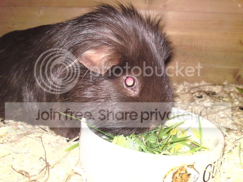 DSC00764.jpg