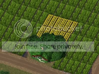 LNX_pipeweed_Farm.jpg