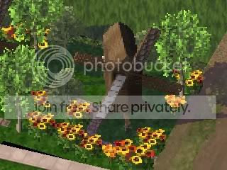 nutley_Power_wind.jpg