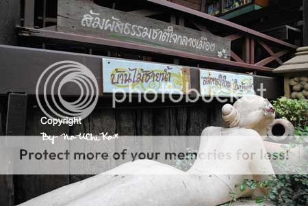 One day trip Khao Yai Saraburi No 1