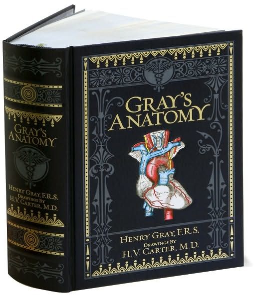 Анатомия Грея Крига. Grey's Anatomy book.