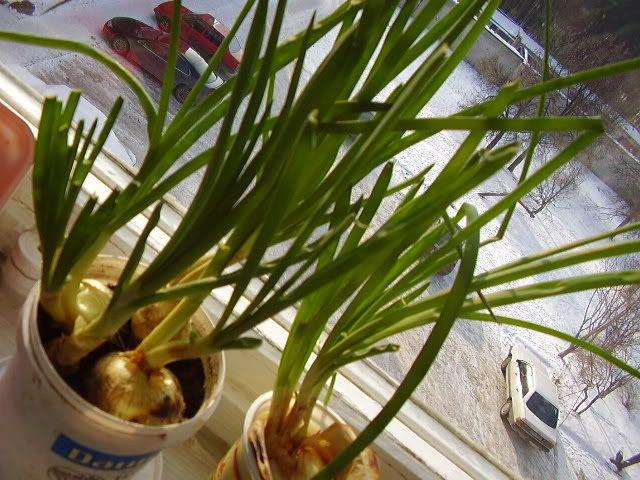 https://i25.photobucket.com/albums/c96/patisonee/Me/P21604410.jpg